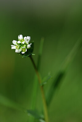 BUITEN BEELD Foto: 432814