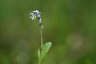 BUITEN BEELD Foto: 432815