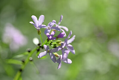 BUITEN BEELD Foto: 432817