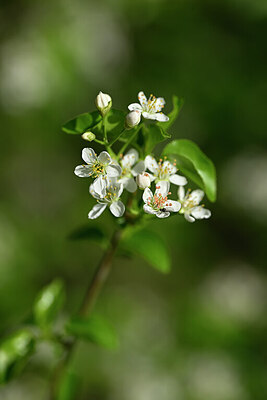 BUITEN BEELD Foto: 432823