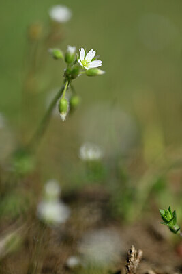 BUITEN BEELD Foto: 432824