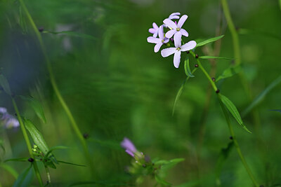 BUITEN BEELD Foto: 432830