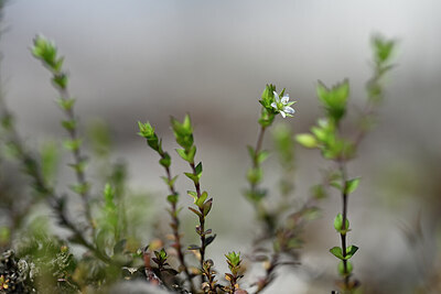 BUITEN BEELD Foto: 432838