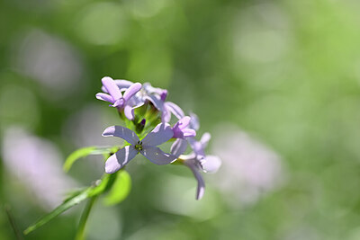 BUITEN BEELD Foto: 432841