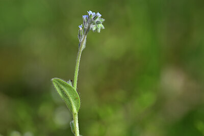 BUITEN BEELD Foto: 432844