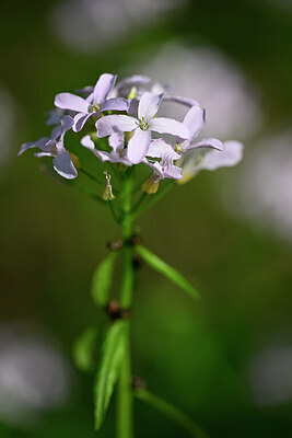 BUITEN BEELD Foto: 432847