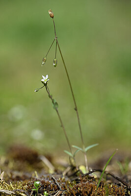 BUITEN BEELD Foto: 432849