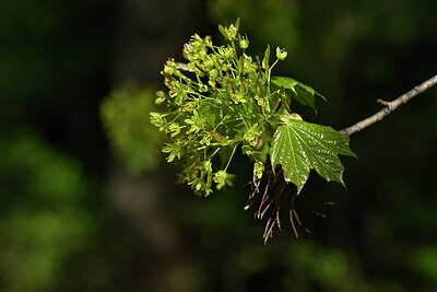 BUITEN BEELD Foto: 432852