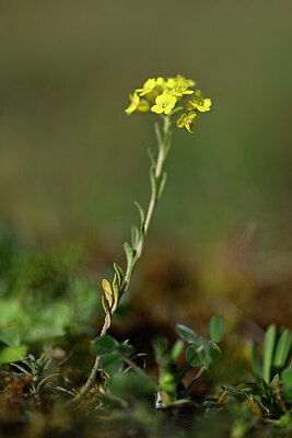 BUITEN BEELD Foto: 432861