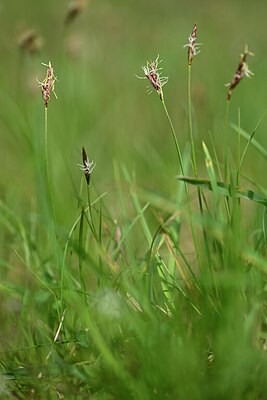 BUITEN BEELD Foto: 432866