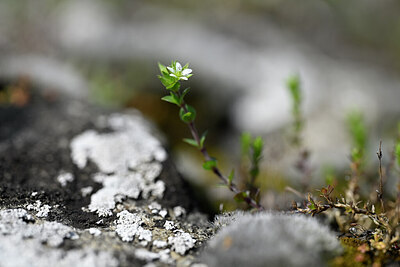 BUITEN BEELD Foto: 432870