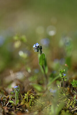 BUITEN BEELD Foto: 432875