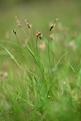 BUITEN BEELD Foto: 432876