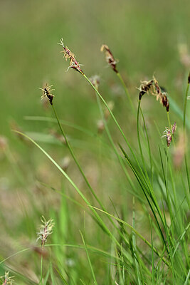 BUITEN BEELD Foto: 432877