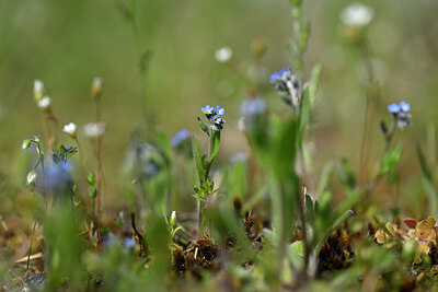 BUITEN BEELD Foto: 432885