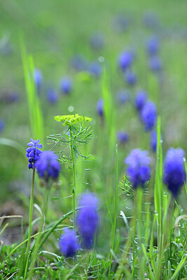 BUITEN BEELD Foto: 432892