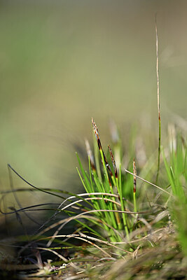 BUITEN BEELD Foto: 432895