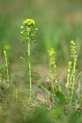 BUITEN BEELD Foto: 432904