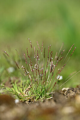 BUITEN BEELD Foto: 432905