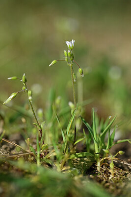 BUITEN BEELD Foto: 432914