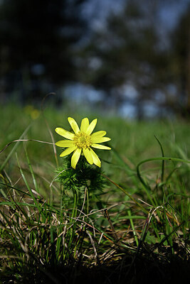 BUITEN BEELD Foto: 432920