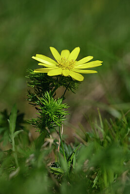 BUITEN BEELD Foto: 432924