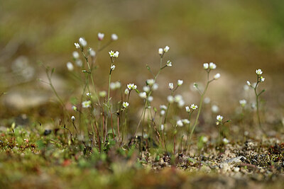 BUITEN BEELD Foto: 432925