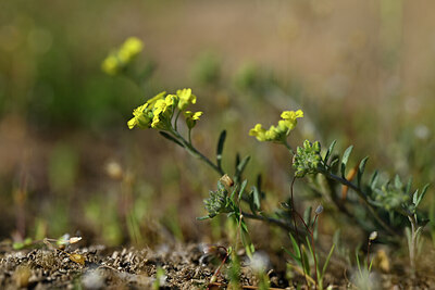 BUITEN BEELD Foto: 432928