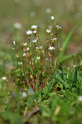 BUITEN BEELD Foto: 432930