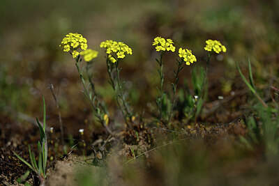 BUITEN BEELD Foto: 432931