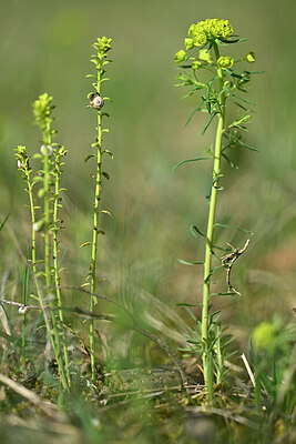 BUITEN BEELD Foto: 432933