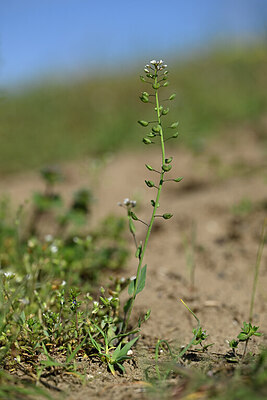 BUITEN BEELD Foto: 432938