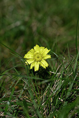 BUITEN BEELD Foto: 432955