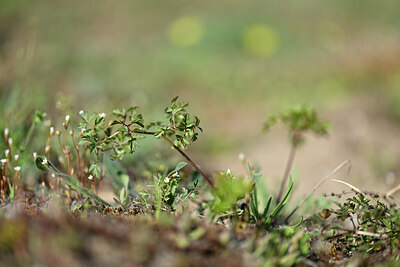 BUITEN BEELD Foto: 432956