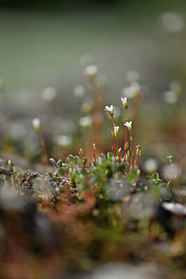 BUITEN BEELD Foto: 432962