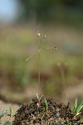 BUITEN BEELD Foto: 432964