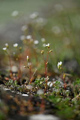 BUITEN BEELD Foto: 432977