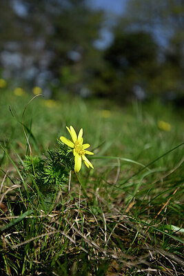 BUITEN BEELD Foto: 433009