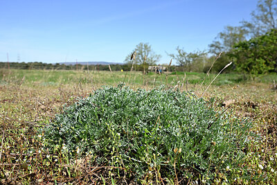 BUITEN BEELD Foto: 433019