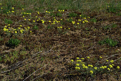 BUITEN BEELD Foto: 433025