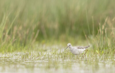 BUITEN BEELD Foto: 433093