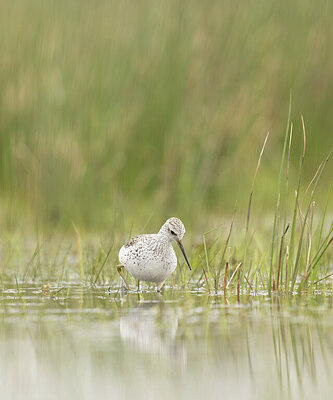 BUITEN BEELD Foto: 433098