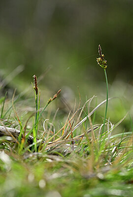 BUITEN BEELD Foto: 433172