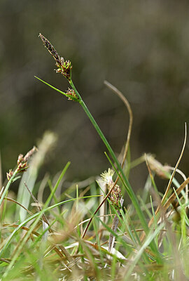 BUITEN BEELD Foto: 433175