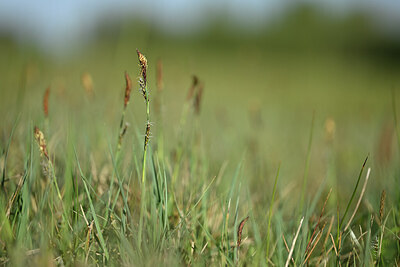 BUITEN BEELD Foto: 433177