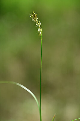 BUITEN BEELD Foto: 433224