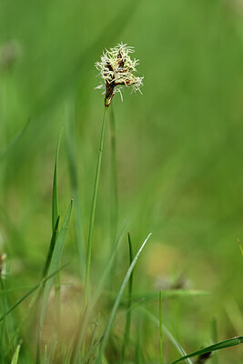 BUITEN BEELD Foto: 433241