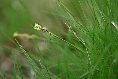 BUITEN BEELD Foto: 433281