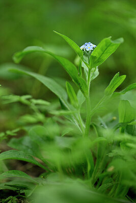 BUITEN BEELD Foto: 433320