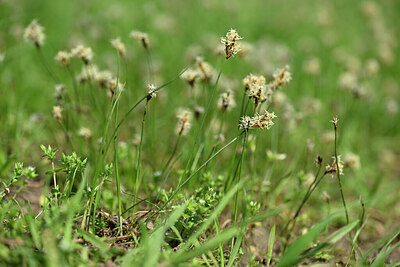 BUITEN BEELD Foto: 433340